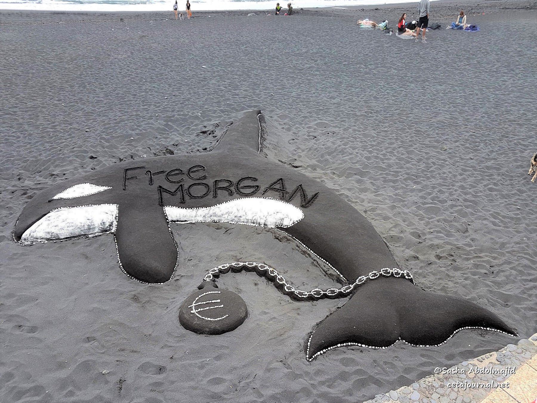 Orca sand sculpture (c) Sasha Abdolmajid