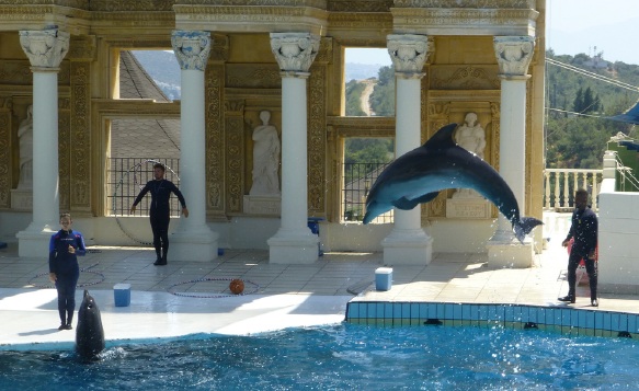 Dolphin at Adaland, Turkey