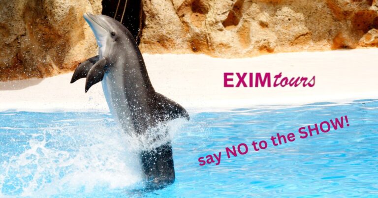 Exim tours, jakub banasiak, dolphinaria-free europe, end captivity, poland, dolphins, tour operators