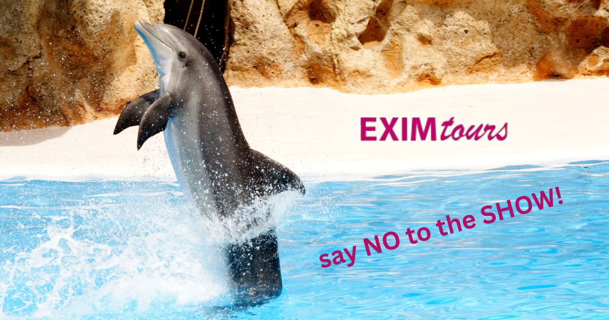 Exim tours, jakub banasiak, dolphinaria-free europe, end captivity, poland, dolphins, tour operators